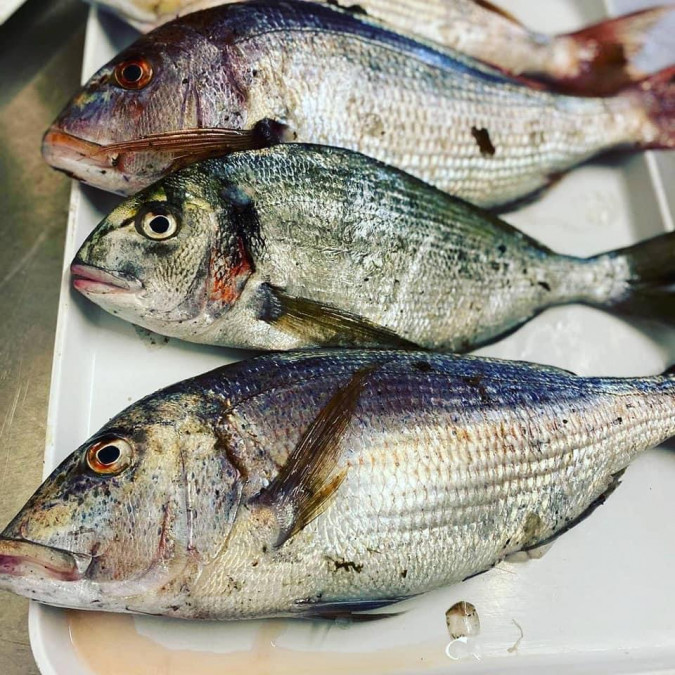 Restaurant Lino - fish and meat specialties on the promenade in the heart of Rabac Rabac